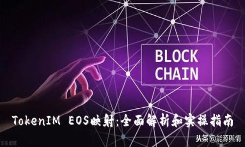 TokenIM EOS映射：全面解析和实操指南