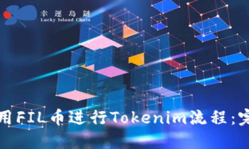如何使用FIL币进行Tokenim流程：完整指南