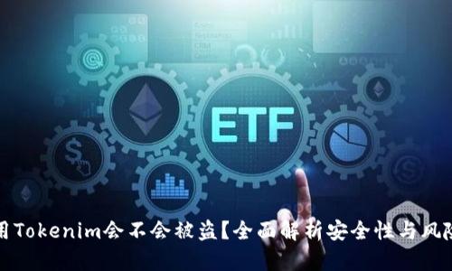 用Tokenim会不会被盗？全面解析安全性与风险
