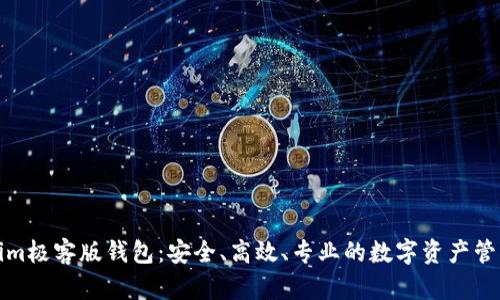 Tokenim极客版钱包：安全、高效、专业的数字资产管理工具