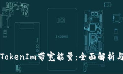 如何获得TokenIm带宽能量：全面解析与实用指南