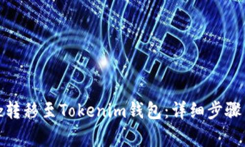 如何将Bitz转移至Tokenim钱包：详细步骤与注意事项