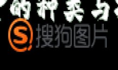 数字货币基金的种类与投