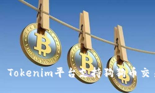 ### Tokenim平台支持狗狗币交易指南