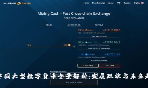 : 中国大型数字货币全景解析：发展现状与未来趋势
