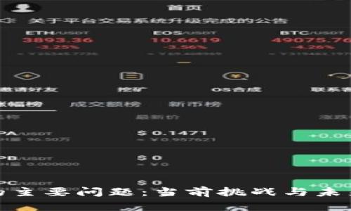 数字货币的主要问题：当前挑战与未来解决方案