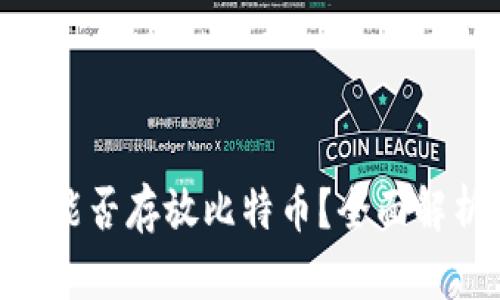 Tokenim钱包能否存放比特币？全面解析及使用指南