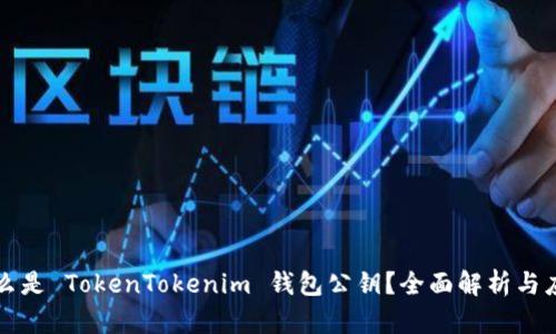什么是 TokenTokenim 钱包公钥？全面解析与应用