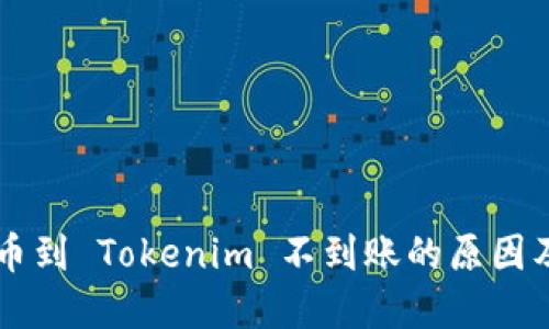 交易所提币到 Tokenim 不到账的原因及解决方案