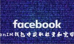 如何在TokenTokenIM钱包中获