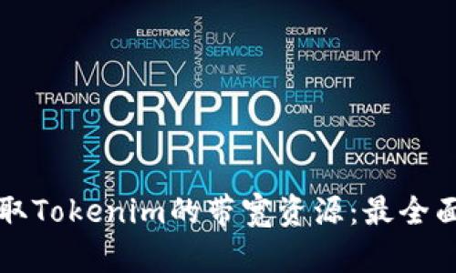 如何获取Tokenim的带宽资源：最全面的指南