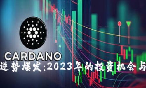 数字货币逆势爆发：2023年的投资机会与风险解析