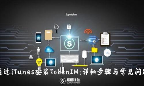 如何通过iTunes安装TokenIM：详细步骤与常见问题解析