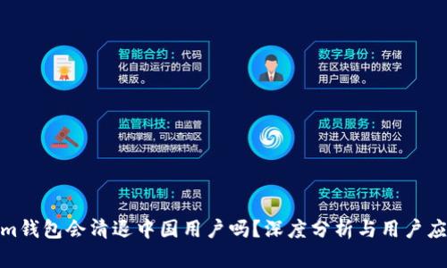 Tokenim钱包会清退中国用户吗？深度分析与用户应对策略