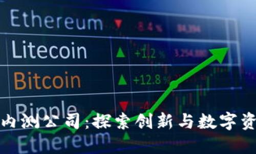 数字货币内测公司：探索创新与数字资产的未来