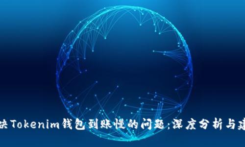 解决Tokenim钱包到账慢的问题：深度分析与建议