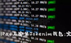 如何在iPad上安装Tokenim钱包