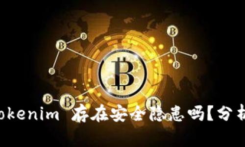 下载 Tokenim 存在安全隐患吗？分析与对策