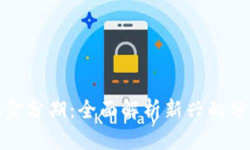 数字货币现金分期：全面解析新兴的分期付款模式