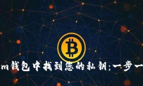 如何在Tokenim钱包中找到您的私钥：一步一步的详细指南