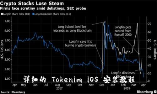 详细的 Tokenim iOS 安装教程