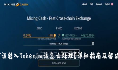 USDT误转入Tokenim该怎么处理？详细指南及解决方法