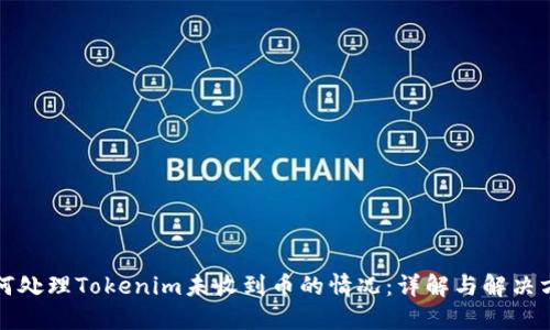 如何处理Tokenim未收到币的情况：详解与解决方案