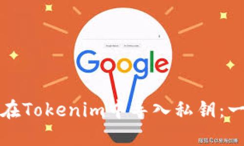 如何安全地在Tokenim中导入私钥：一步一步指南