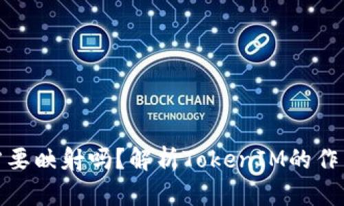 ### BTM需要映射吗？解析TokenIM的作用与使用场景