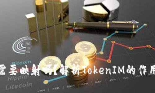 ### BTM需要映射吗？解析TokenIM的作用与使用场景