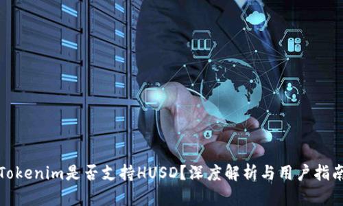 Tokenim是否支持HUSD？深度解析与用户指南