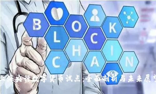 上海央行数字货币试点：全面剖析与未来展望