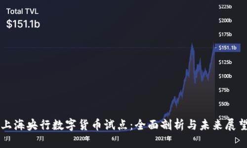 上海央行数字货币试点：全面剖析与未来展望