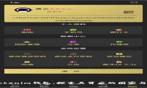 Token Tokenim钱包：探索其背后的国家与发展历程