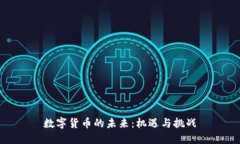 数字货币的未来：机遇与
