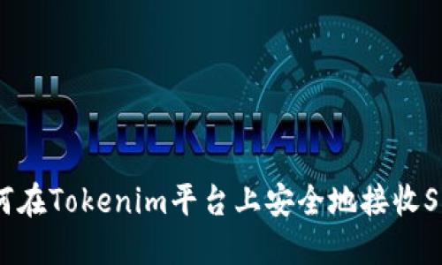 如何在Tokenim平台上安全地接收SHIB