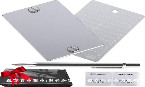 数字货币猴币：新兴加密货币投资的机会与挑战