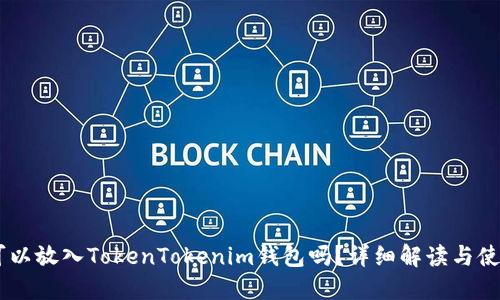 SHIB可以放入TokenTokenim钱包吗？详细解读与使用指南