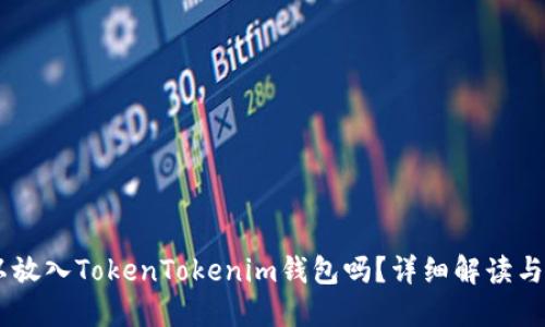 SHIB可以放入TokenTokenim钱包吗？详细解读与使用指南